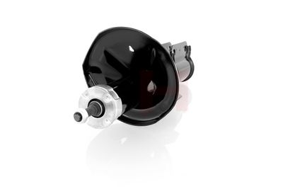 AMORTIZOR GH GH325058H 14