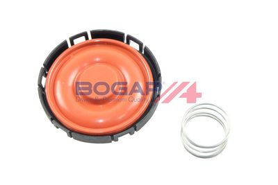 VENTIL AERISIRE CARTER BOGAP B1116106 2