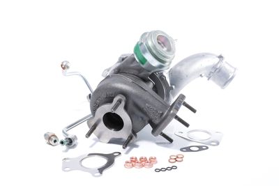 LADER AUFLADUNG BTS Turbo T981127 21