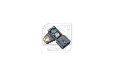 датчик, налчгане във всмукателните тръби EFI AUTOMOTIVE 291216