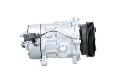 COMPRESOR CLIMATIZARE BV PSH 090305054501 3