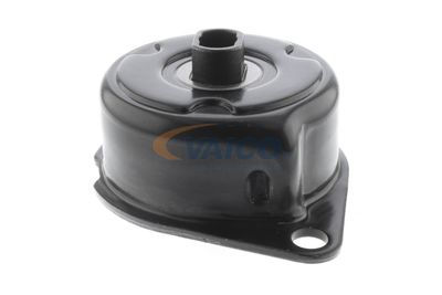 INTINZATOR CUREA CUREA DISTRIBUTIE VAICO V103415 19