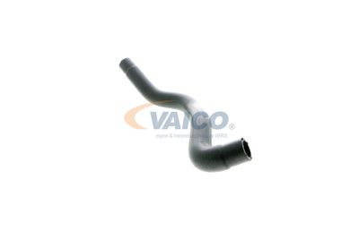 KüHLERSCHLAUCH VAICO V102807 44