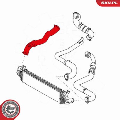 FURTUN EAR SUPRAALIMENTARE ESEN SKV 43SKV041 2