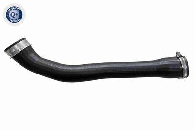 FURTUN EAR SUPRAALIMENTARE