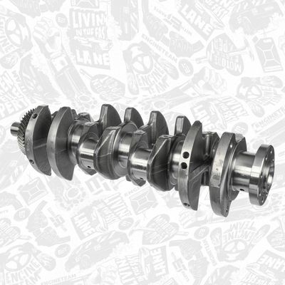 ARBORE COTIT ET ENGINETEAM HK0182 1