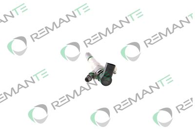 INJECTOR REMANTE 002003002229R 1