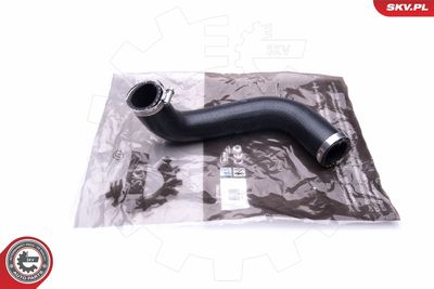 FURTUN EAR SUPRAALIMENTARE