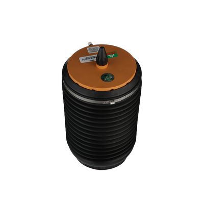 LUFTFEDER FAHRWERK Arnott A3892 63