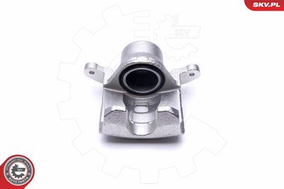 Brake Caliper 46SKV882