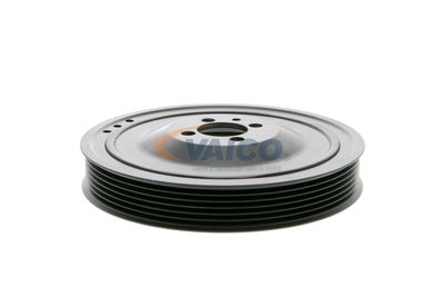 FULIE CUREA ARBORE COTIT VAICO V401481 19