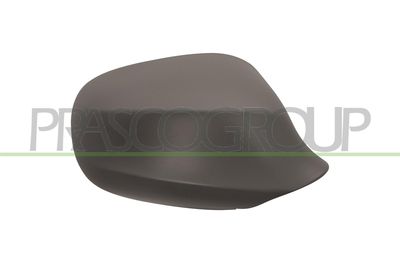 ACOPERIRE OGLINDA EXTERIOARA