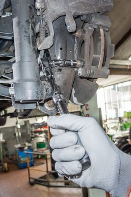Vorschau V6638N Ansicht 5