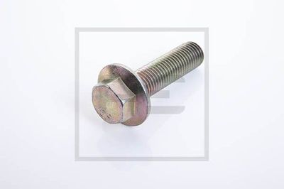 Surub volanta PE Automotive 6011374298