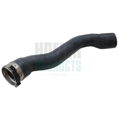 FURTUN EAR SUPRAALIMENTARE