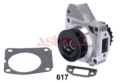 Pompa apa, racire motor ASHIKA 35-06-617