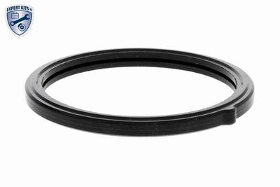 TERMOSTAT LICHID RACIRE ACKOJA A53990002 1