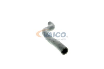 KüHLERSCHLAUCH VAICO V100388 46