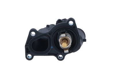 TERMOSTAT LICHID RACIRE NRF 725048 18
