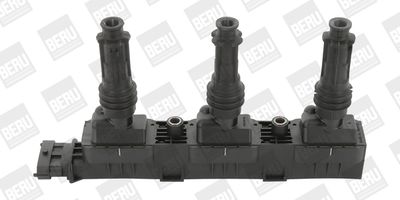 BorgWarner (BERU) Zündspule