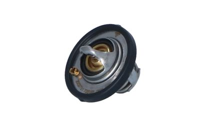 TERMOSTAT LICHID RACIRE NRF 725182 12