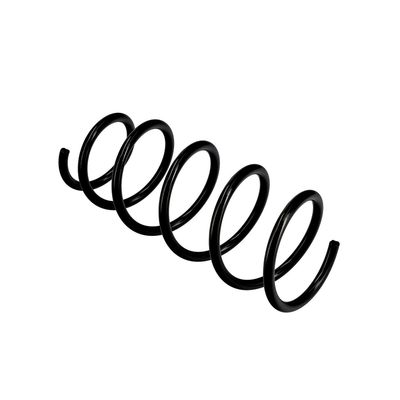 ARC SPIRAL EIBACH R10108 22