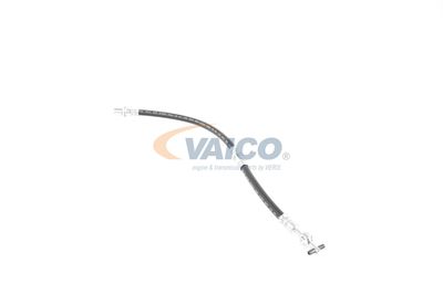 FURTUN FRANA VAICO V704100 9