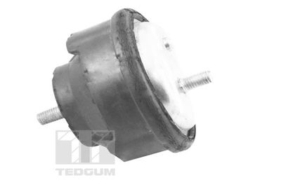 SUPORT MOTOR TEDGUM TED12723 2