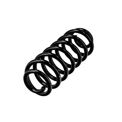 ARC SPIRAL EIBACH R10673 3