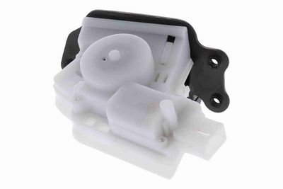 INCUIETOARE HAION ACKOJA A26850028 4