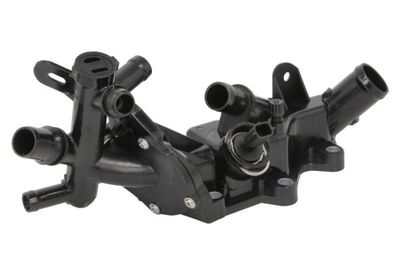 TERMOSTAT LICHID RACIRE