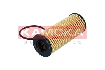 Oil Filter F122801