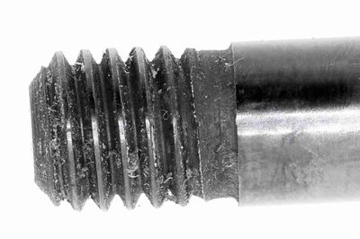 AMORTIZOR PORTBAGAJ VAICO V950200 2