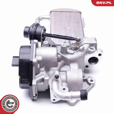 SUPAPA EGR ESEN SKV 14SKV154 1