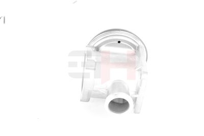 SUPAPA EGR GH GH731560 46