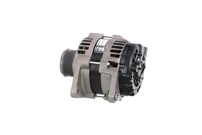 GENERATOR / ALTERNATOR REMANTE 011003001146R 19