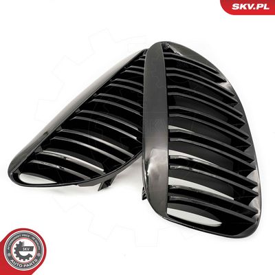GRILA RADIATOR ESEN SKV 66SKV205 2