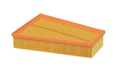 LUFTFILTER CONTINENTAL 28000206842 9