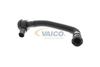 FURTUN EAR SUPRAALIMENTARE VAICO V202325 4