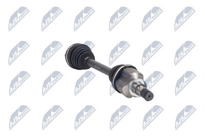 PLANETARA NTY NPWBM164 31