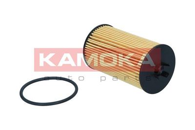 Oil Filter F125201