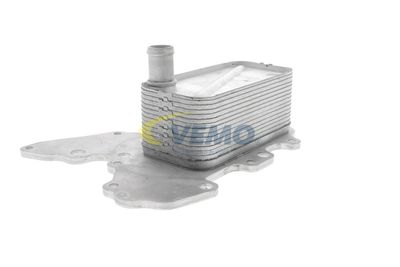 ÖLKüHLER MOTORöL VEMO V40602119 17