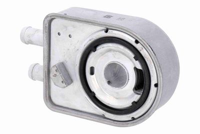 RADIATOR ULEI ULEI MOTOR ACKOJA A52600020 3