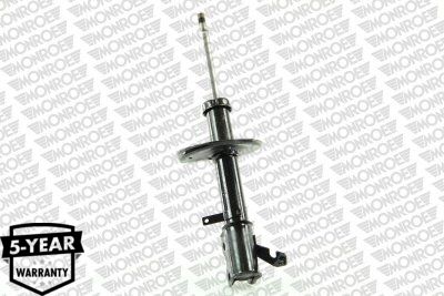 Shock Absorber G16176