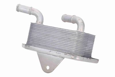 RADIATOR ULEI ULEI MOTOR VEMO V15606019 4