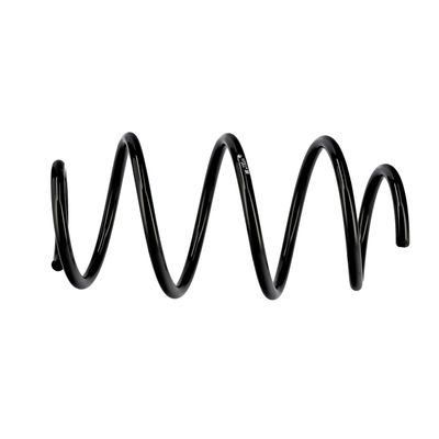 ARC SPIRAL EIBACH R10425 19