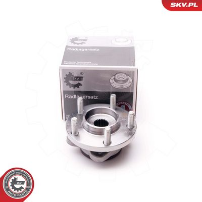 SET RULMENT ROATA ESEN SKV 29SKV130 4