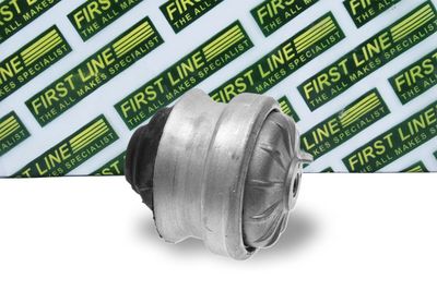 окачване, двигател FIRST LINE FEM3278