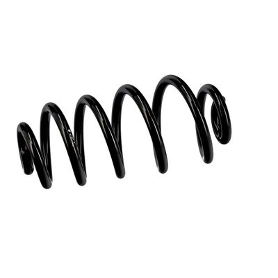 ARC SPIRAL EIBACH R10114 6