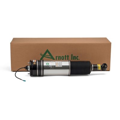 LUFTFEDERBEIN Arnott AS2979 2